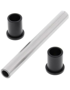 ALL BALLS Swing Arm Repair...