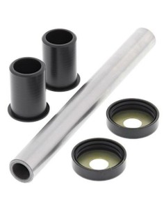 ALL BALLS Swing Arm Repair...