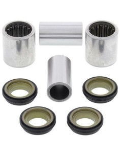 ALL BALLS Swing Arm Repair...