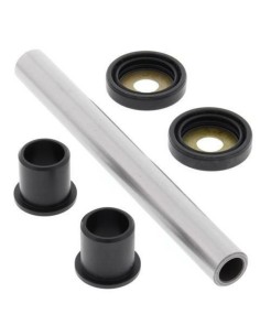 ALL BALLS Swing Arm Repair...