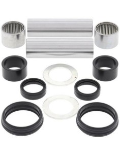 ALL BALLS Swing Arm Repair...