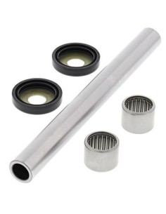 ALL BALLS Swing Arm Repair...