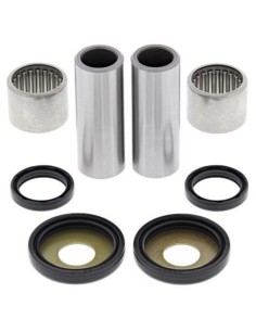 ALL BALLS Swing Arm Repair...