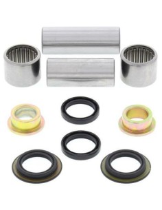 ALL BALLS Swing Arm Repair...