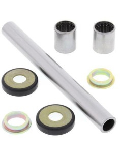 ALL BALLS Swing Arm Repair...