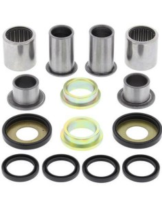 ALL BALLS Swing Arm Repair...