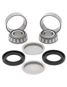 ALL BALLS Swing Arm Bearing...