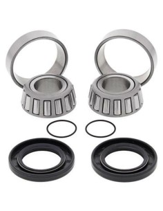 ALL BALLS Swing Arm Bearing...