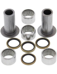 ALL BALLS Swing arm Repair...