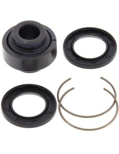 Set rulment amortizor...