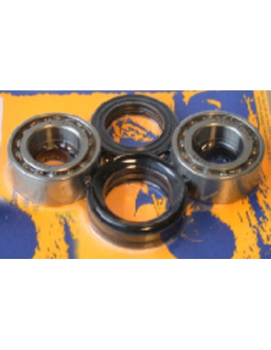 PIVOT WORKS Front Wheel Bearings And Seals Kit