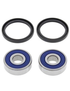 ALL BALLS Front Wheel...