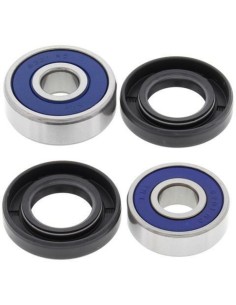 ALL BALLS Front Wheel...