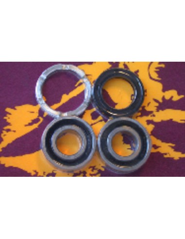 PIVOT WORKS Rear Wheel Bearings And Seals Kit