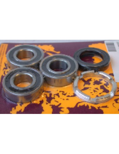 PIVOT WORKS Rear Wheel Bearings And Seals Kit