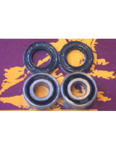 PIVOT WORKS Rear Wheel Bearings And Seals Kit