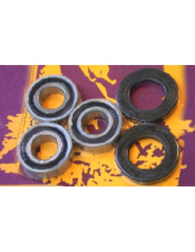 PIVOT WORKS Rear Wheel Bearings And Seals Kit