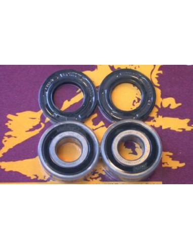 PIVOT WORKS Rear Wheel Bearings And Seals Kit