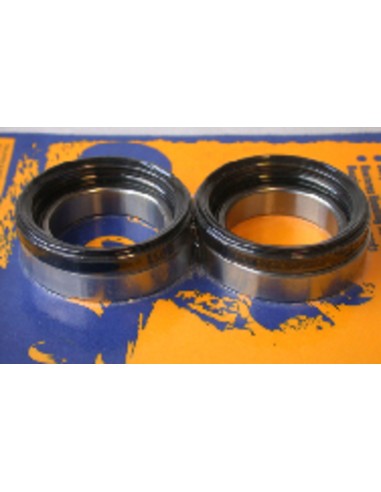 PIVOT WORKS Rear Wheel Bearings And Seals Kit