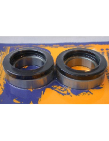 PIVOT WORKS Rear Wheel Bearings And Seals Kit