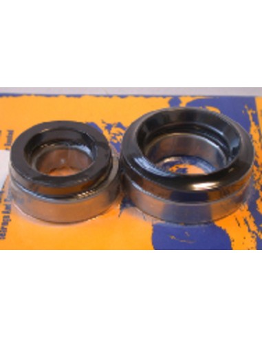 PIVOT WORKS Rear Wheel Bearings And Seals Kit