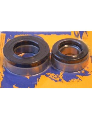 PIVOT WORKS Rear Wheel Bearings And Seals Kit