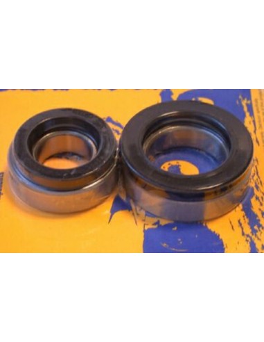 PIVOT WORKS Rear Wheel Bearings And Seals Kit