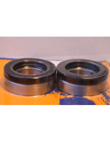 PIVOT WORKS Rear Wheel Bearings And Seals Kit