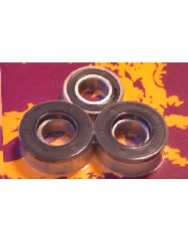 PIVOT WORKS Rear Wheel Bearings And Seals Kit