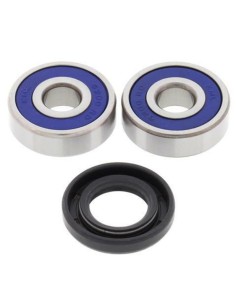 ALL BALLS Front Wheel...