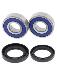 ALL BALLS Front Wheel...