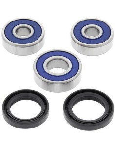 Set rulment roata spate ALL...