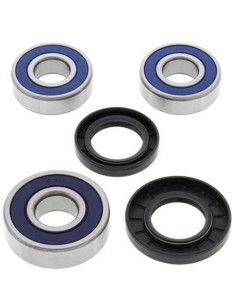 ALL BALLS Rear Wheel...