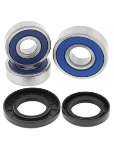 ALL BALLS Rear Wheel...