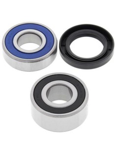 ALL BALLS Rear Wheel...