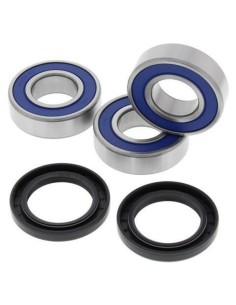 ALL BALLS Rear Wheel...