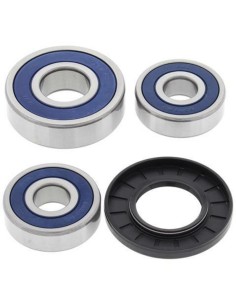 ALL BALLS Rear Wheel...