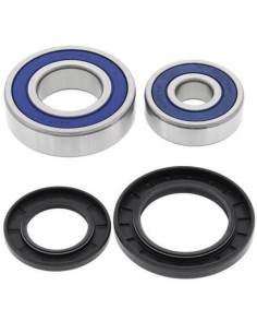 ALL BALLS Rear Wheel...