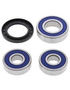 ALL BALLS Rear Wheel...