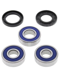 ALL BALLS Rear Wheel...