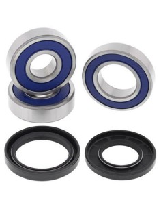 ALL BALLS Rear Wheel...