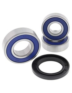ALL BALLS Rear Wheel...