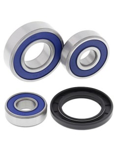 ALL BALLS Rear Wheel...
