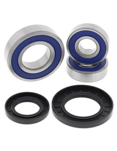 ALL BALLS Rear Wheel...
