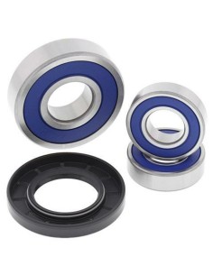 ALL BALLS Rear Wheel...