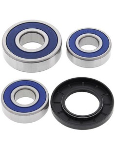 ALL BALLS Rear Wheel...