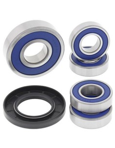 ALL BALLS Rear Wheel...