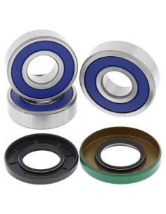 ALL BALLS Rear Wheel...