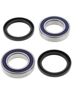 Set rulment roata spate ALL...