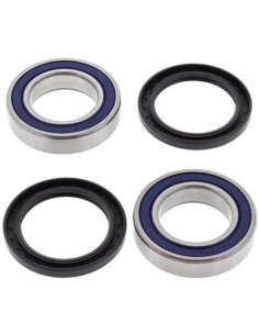 Set rulment roata spate ALL...